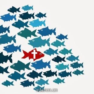 杨太太的成长日记