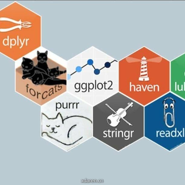 R语言数据分析指南