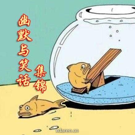 幽默与笑话集锦