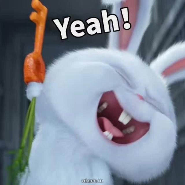 教化学的闲杂人