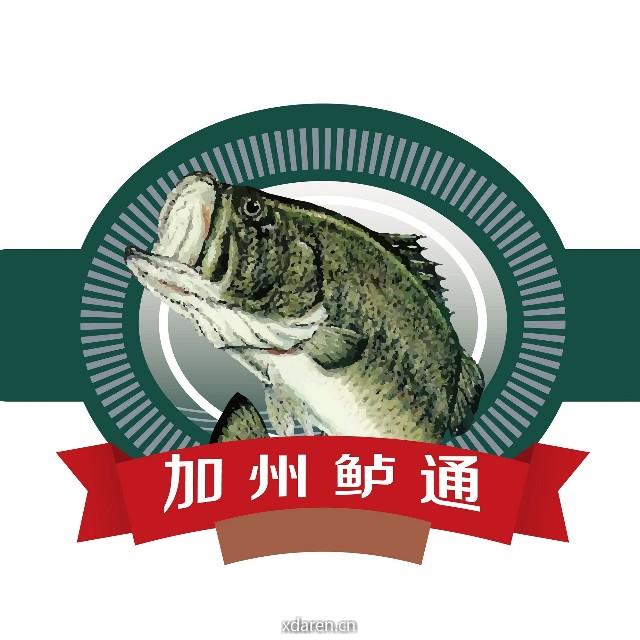 加州鲈通