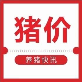 养猪快讯