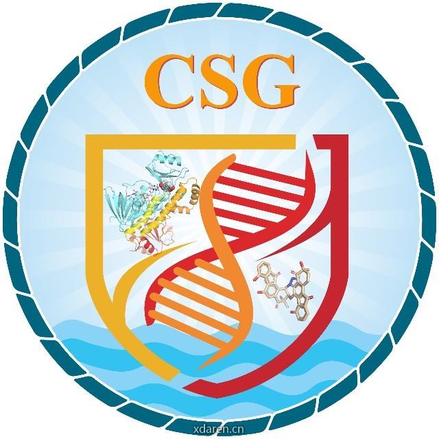 CSG