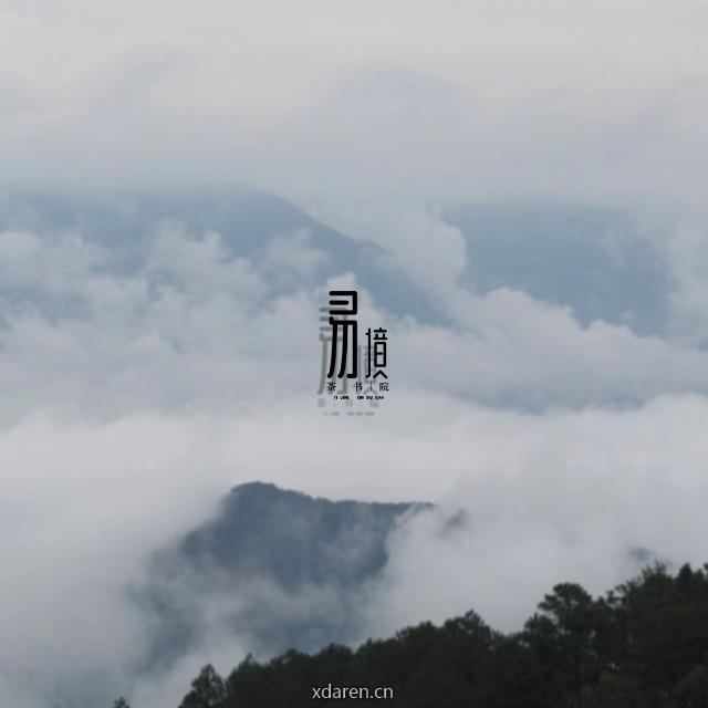 易境 茶书院
