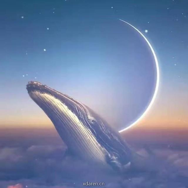 精选研报库