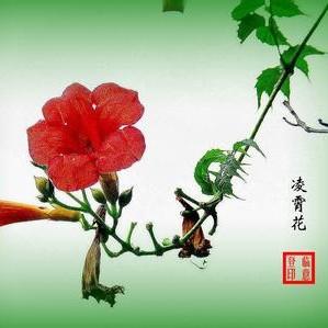 庸YI带你不用卡