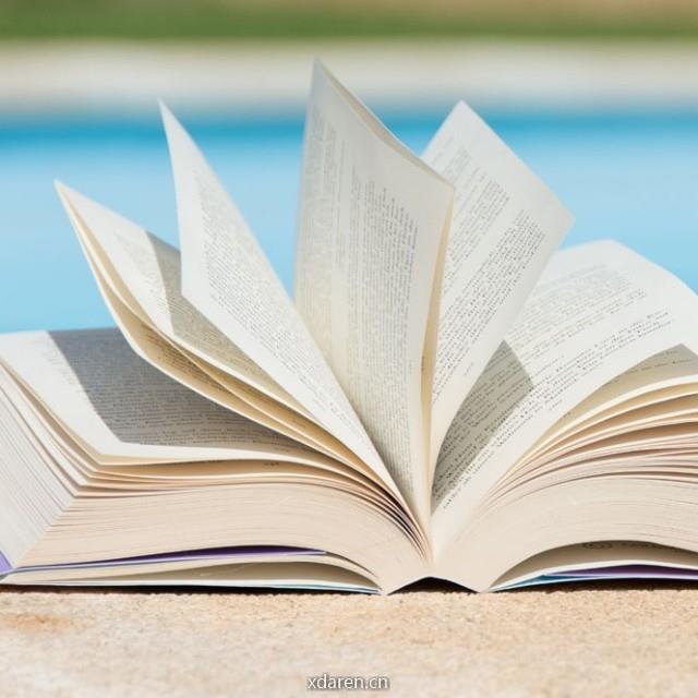 石头情感避风港