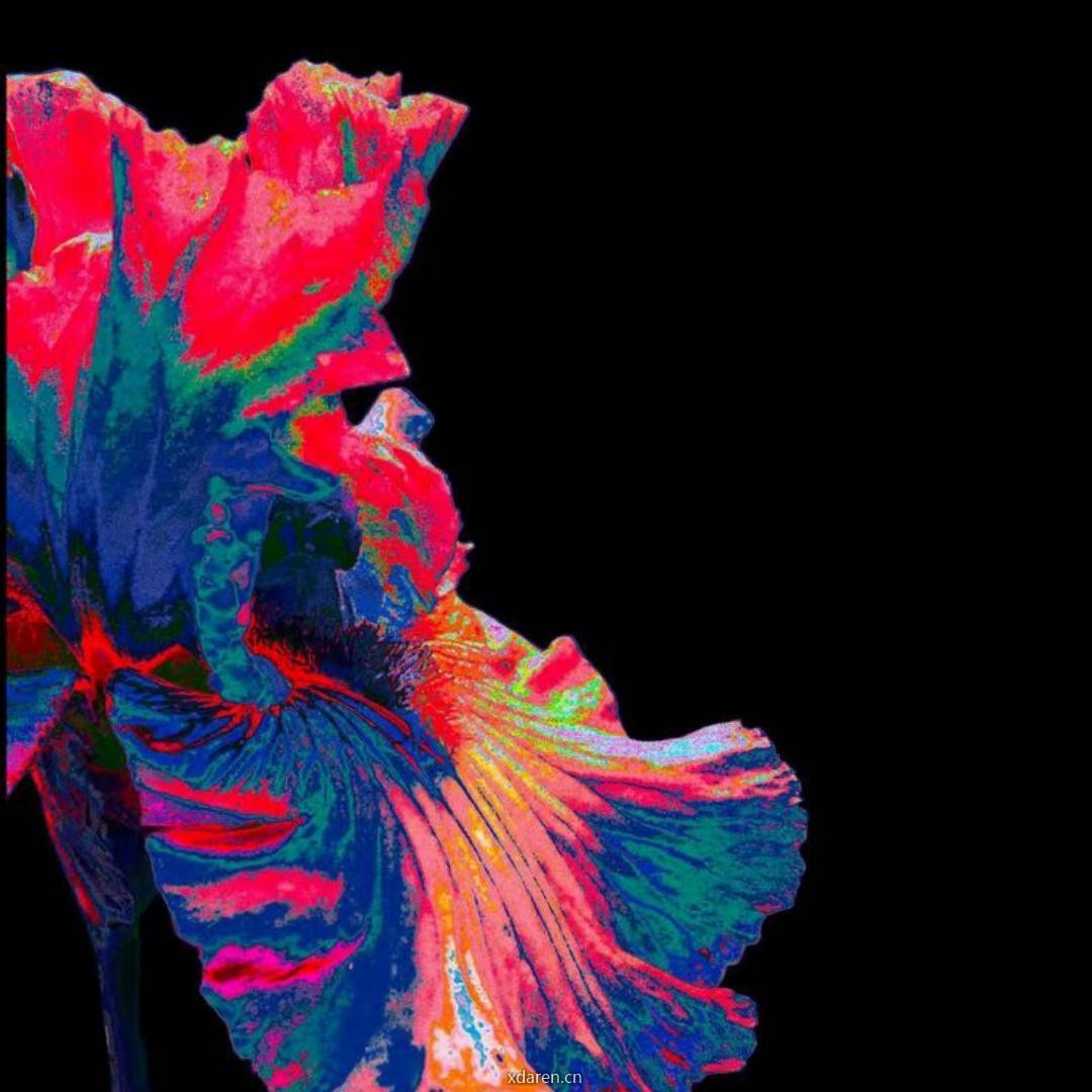 心理肖像Art Exhibition