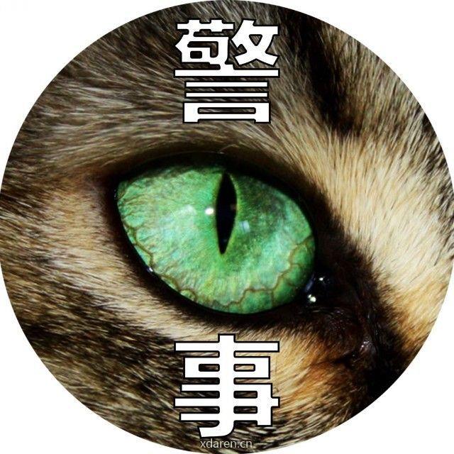 猫哥说警事