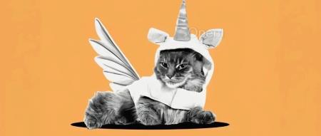 2024年硅谷新晋38家独角兽万字梳理,哪些赛道?钱从哪来?