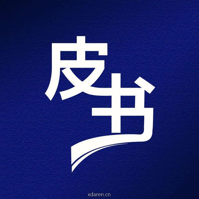 皮书说