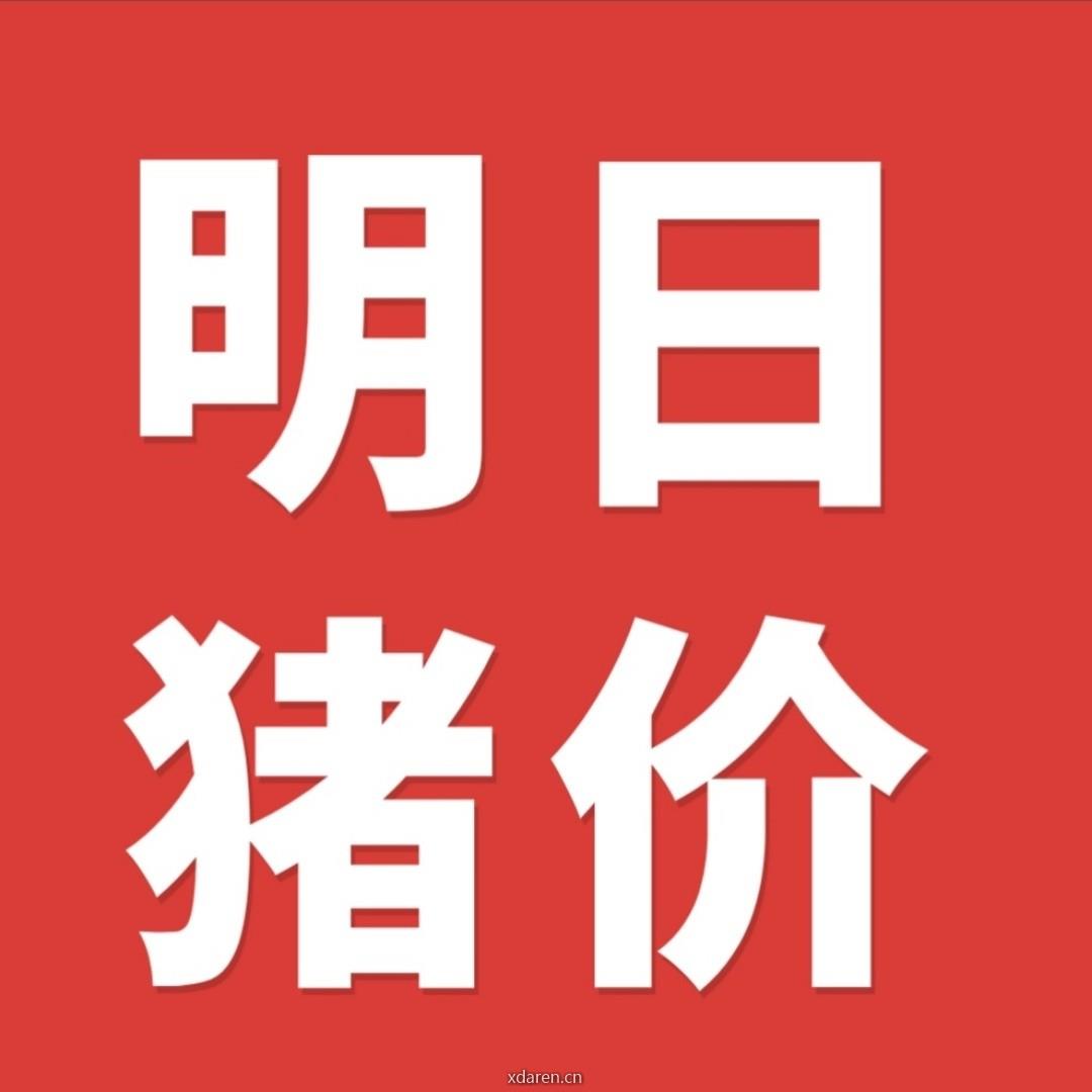 养猪互联网