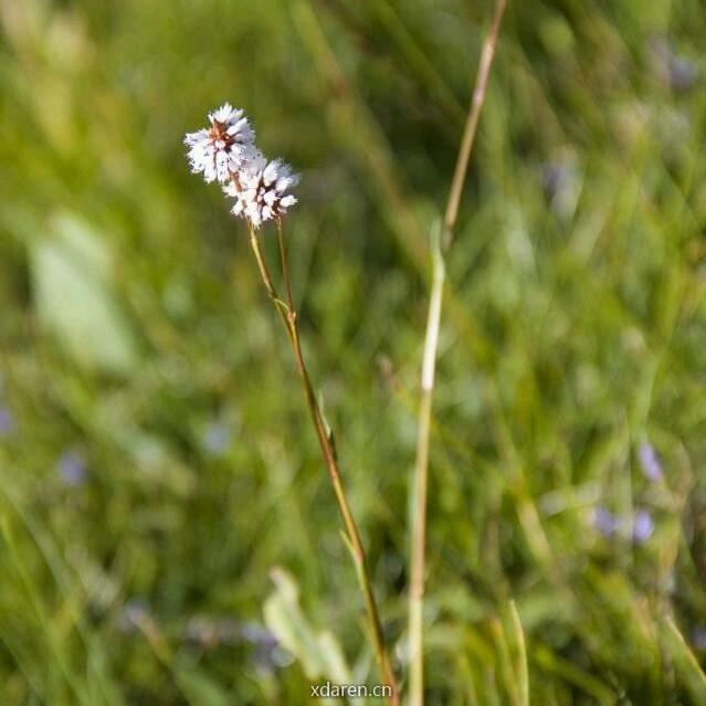 全球变化生态学