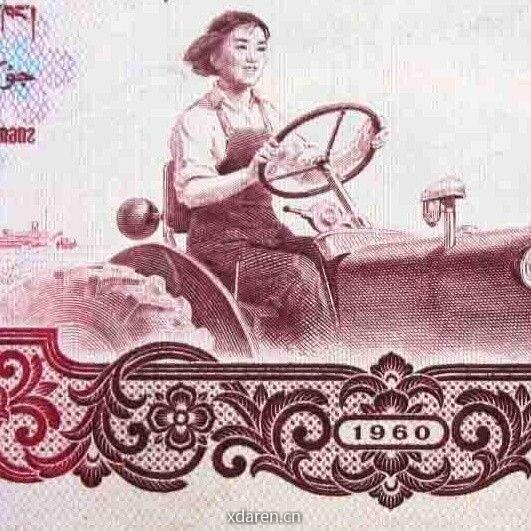 驾驭美好