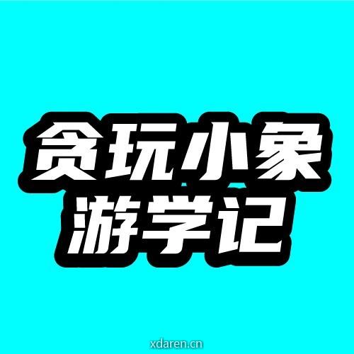 贪玩小象游学记
