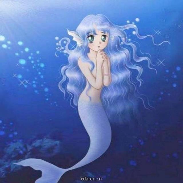 赶海的人鱼姑娘