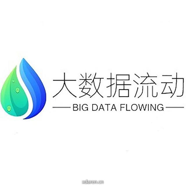 大数据流动