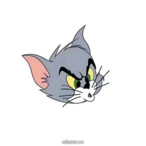 Tom真不想看你亏钱
