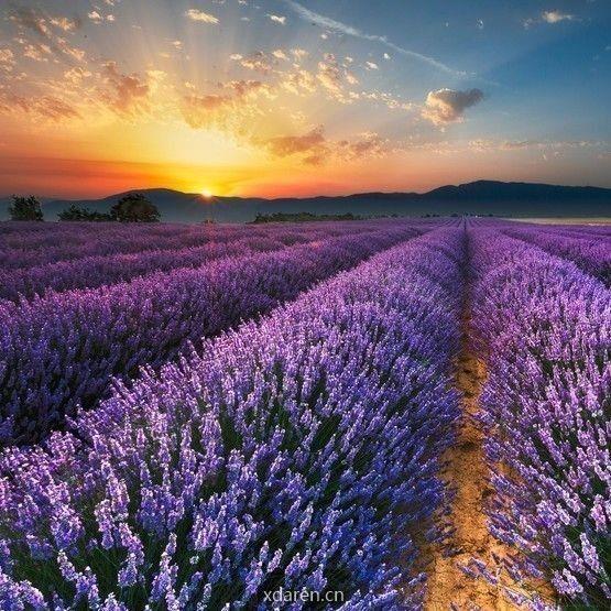 我们的天空之城