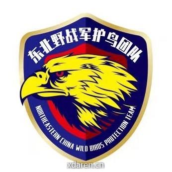 东北军护鸟团队