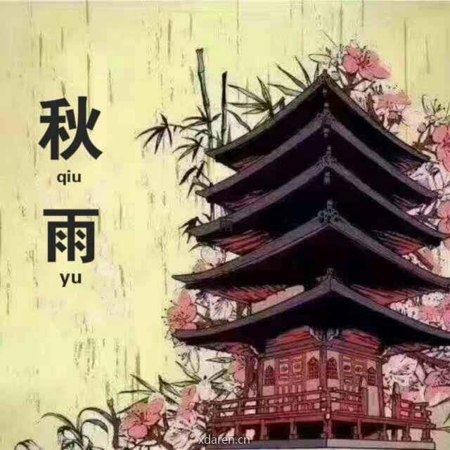 秋雨先生