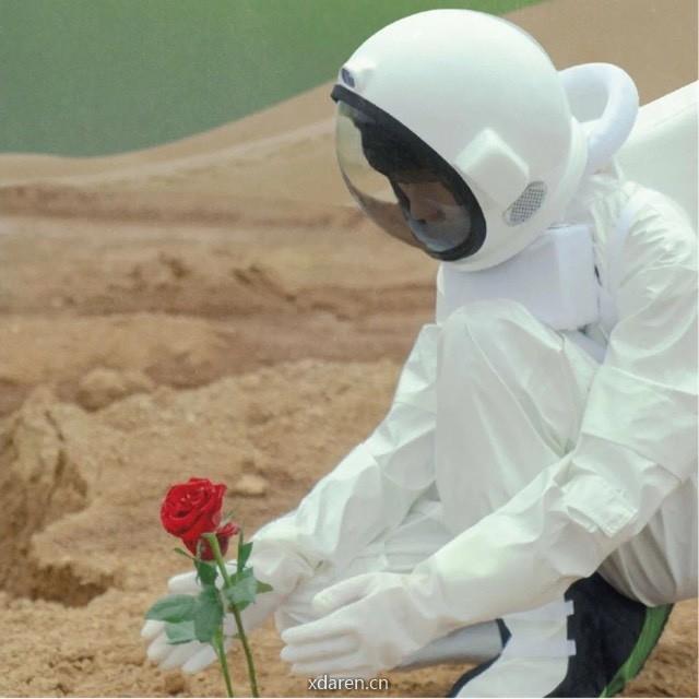 桃花岛上种桃花