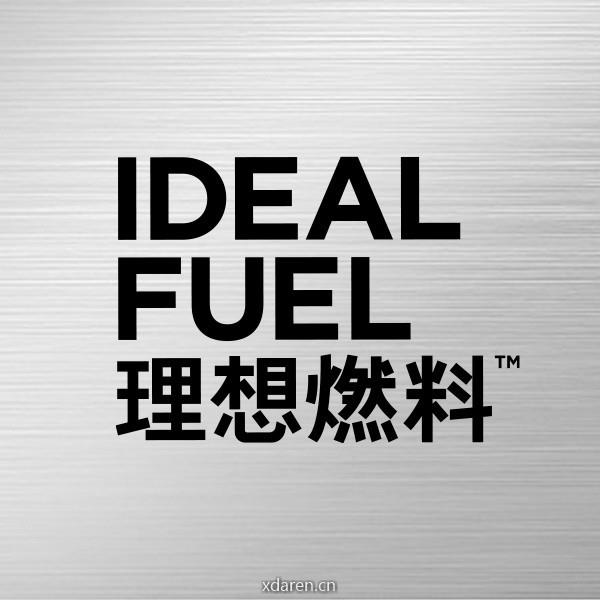 理想燃料