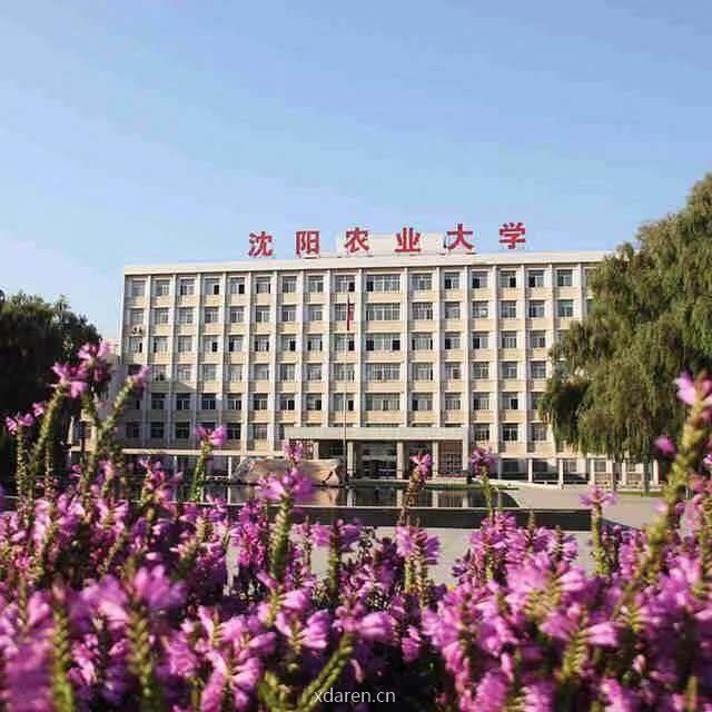 沈阳农业大学
