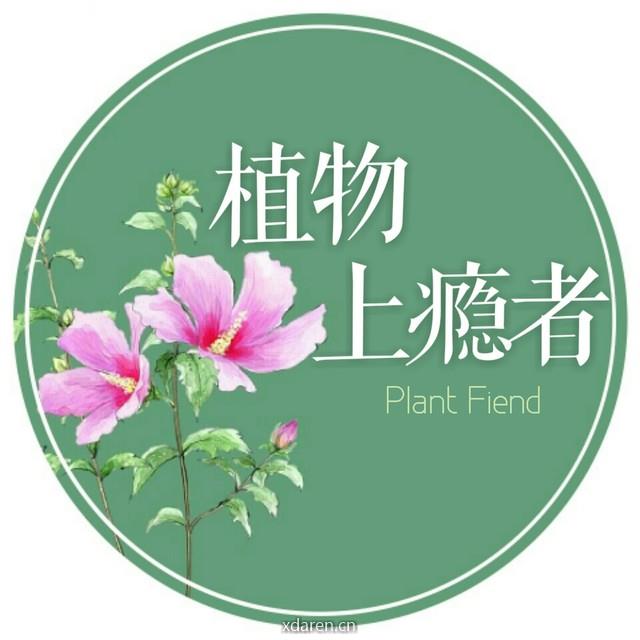 植物上瘾者
