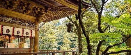 “创业一年,人间三年”,李沐亲述 LLM 创业第一年的进展、纠结和反思