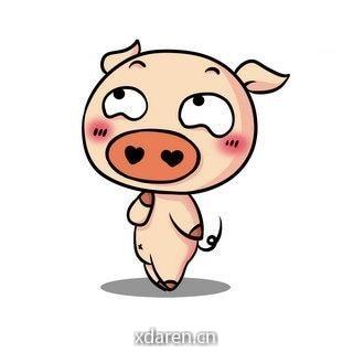 明天猪价行情