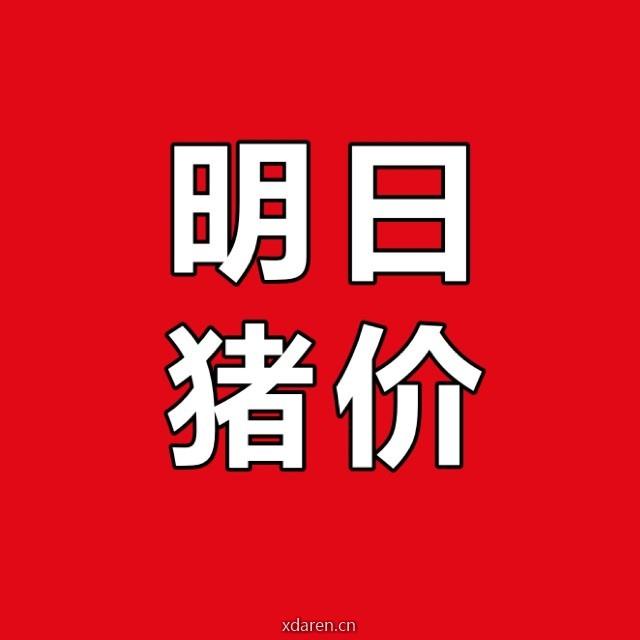 明日猪价I预测