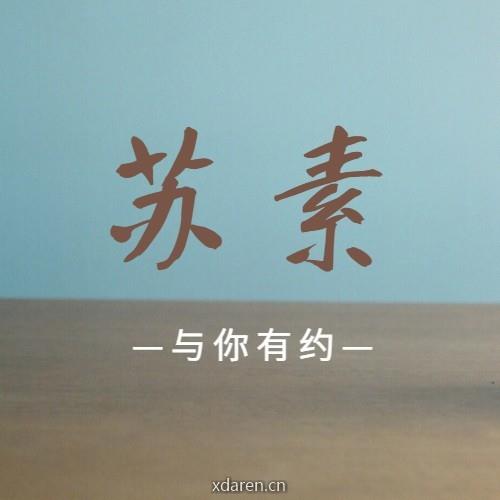 苏素有约