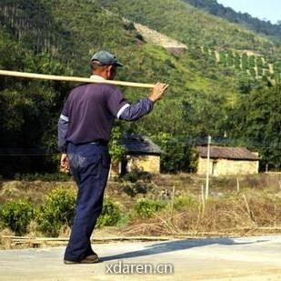 村口信息事