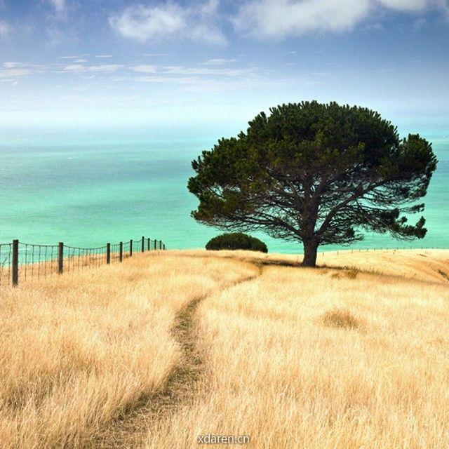 诗韵传播正能量