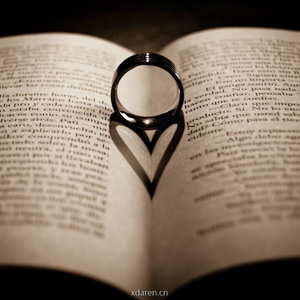 情感婚姻研究所