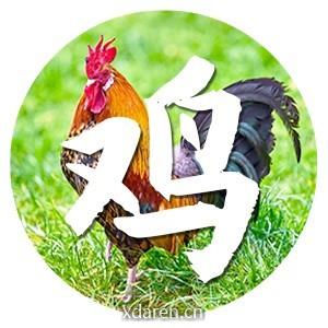 生肖鸡运势大全