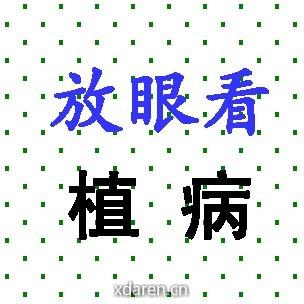 放眼看植病