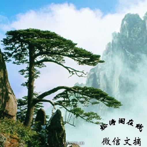 松涛阁文摘欣赏