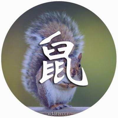 鼠大运