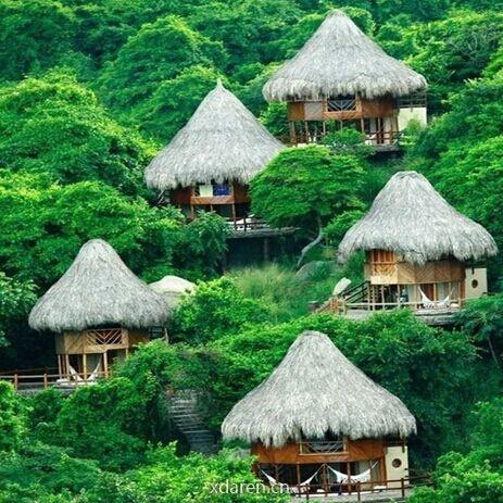 深山野老泉乡村休闲