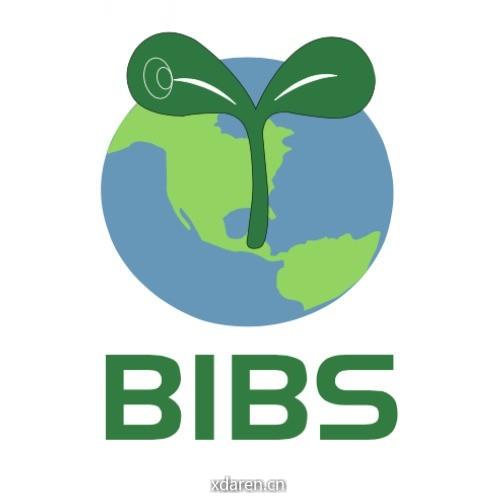 BIBS青苗国际双语学校