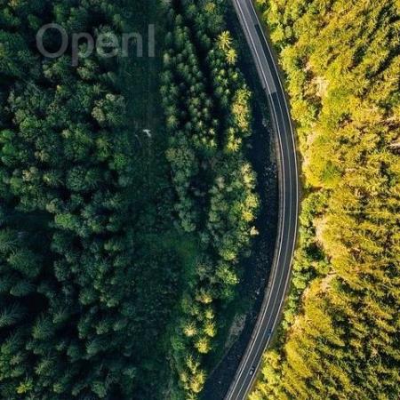 AICon 上海站 2024 优秀出品人与明星讲师名单揭晓,RAG、Agent、工具链专场最受欢迎