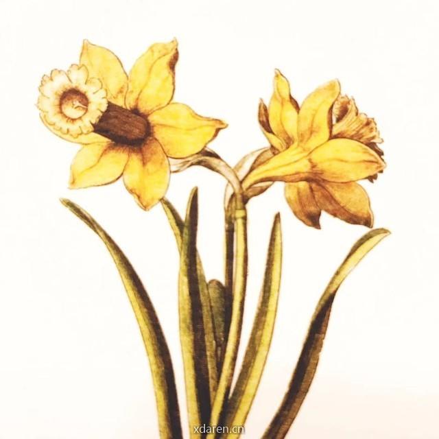 Xu的咨询师症候群