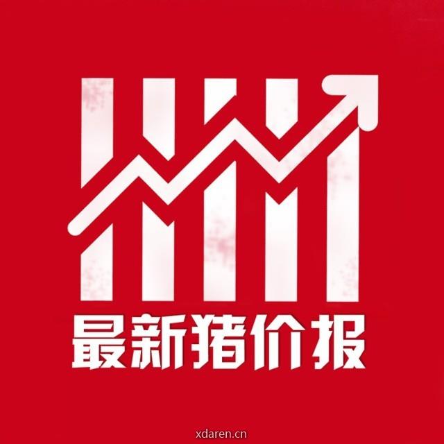 最新猪价报