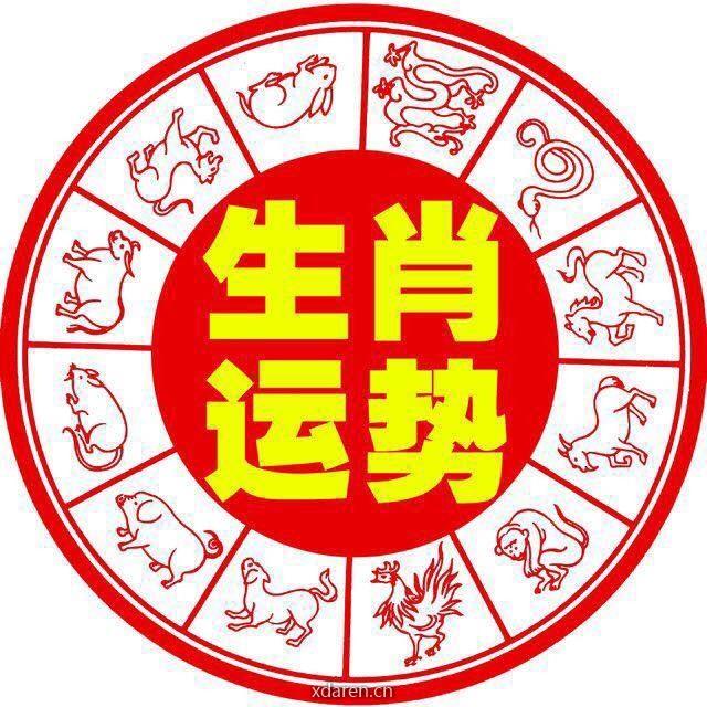 十二生肖运势宝典