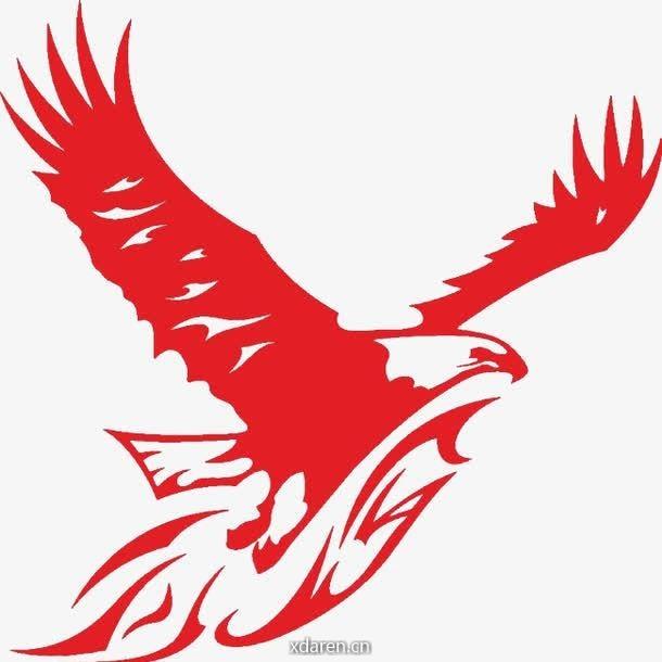 红鹰飞翔