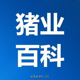 猪业百科