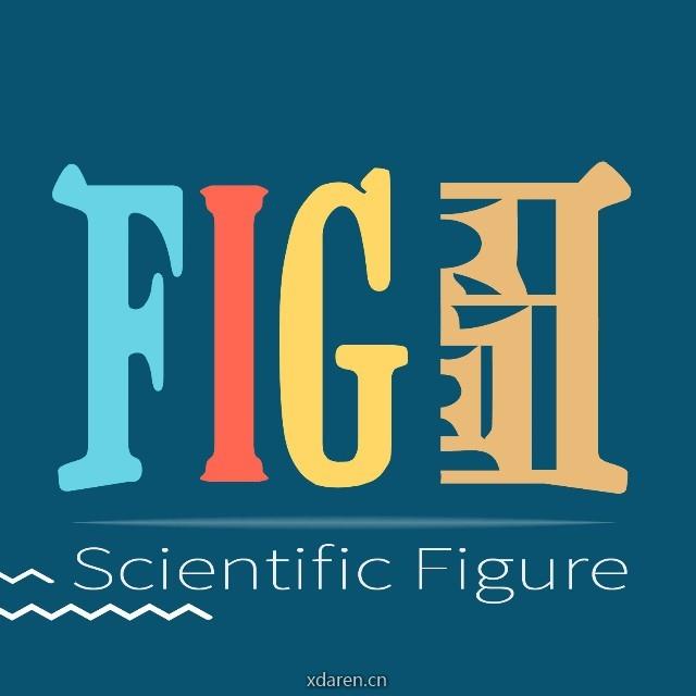 Figure图