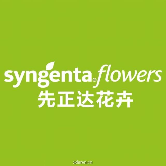 先正达花卉